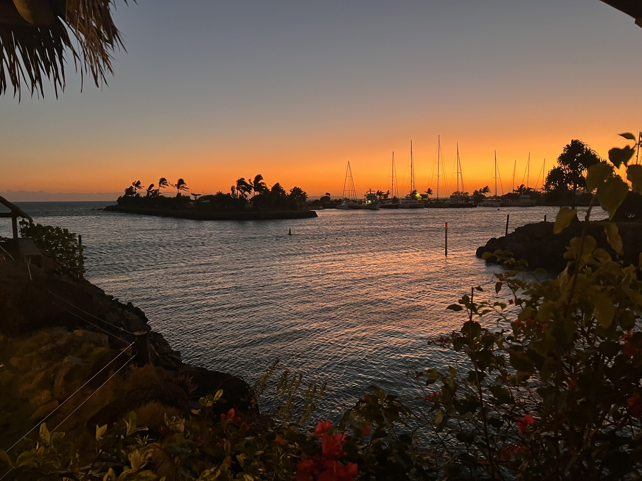 A Stop at Vuda Point Marina: The Heart of Fiji for Cruisers